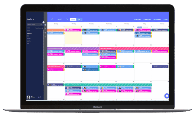 100 Pound Social Working Together