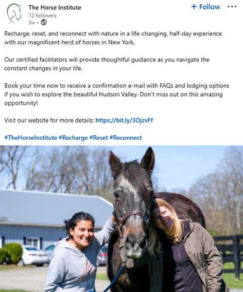 The Horse Institute post example The Horse Institute post example