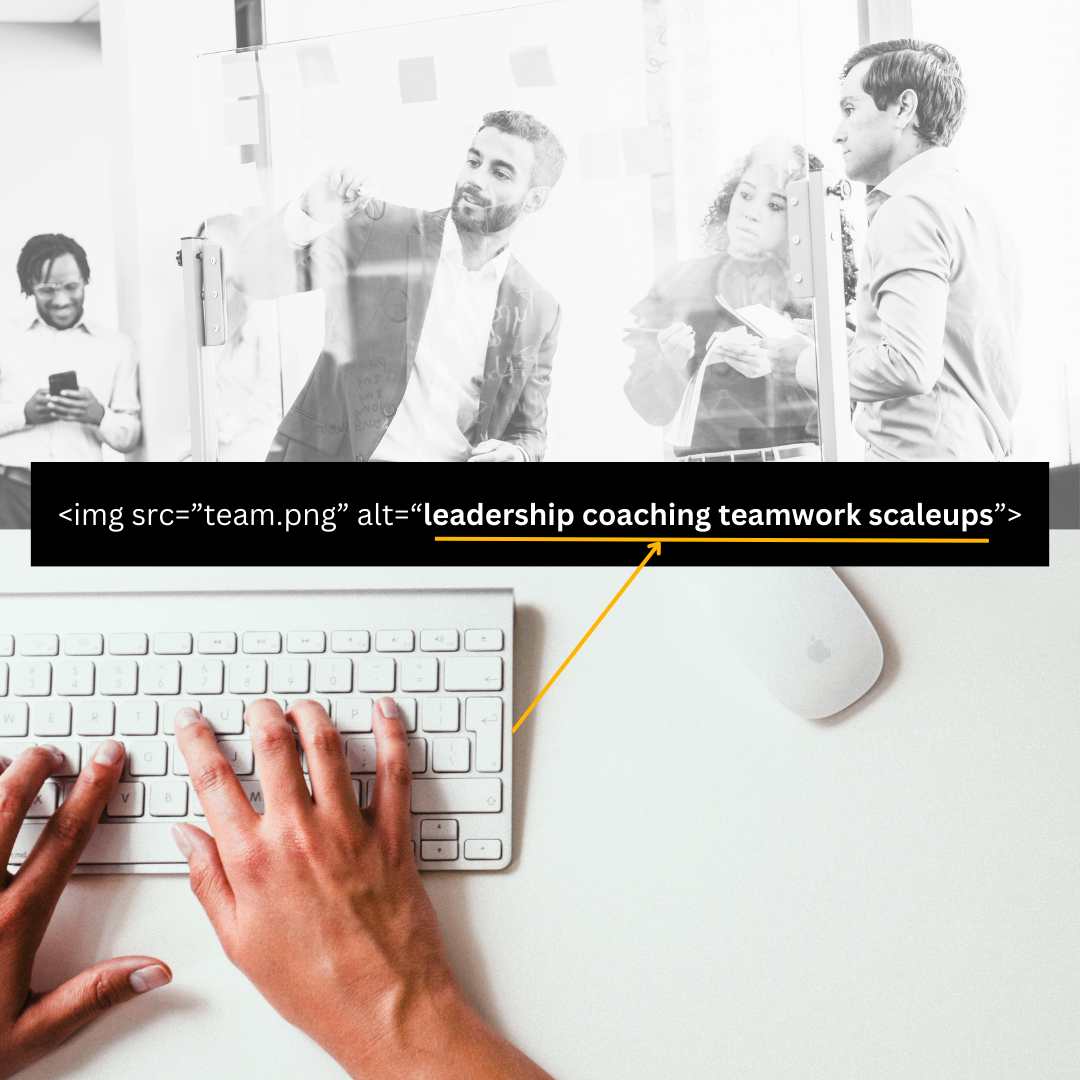 alt text add-on alt text add-on